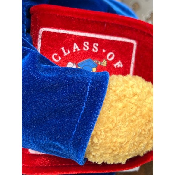 Walt Disney Winnie the Pooh 2001 Graduate Bear Soft Plush Toy Bear - Picture 8 of 16